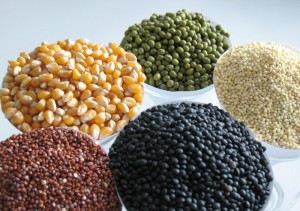 Zöliakiepatienten dürfen nur Back- und Teigwaren mit glutenfreiem Samen essen. © Fraunhofer IVV Zöliakie: Neue Rezepturen für leckere, glutenfreie Back- und Teigwaren