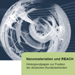 REACH-Verordnung: Nanomaterialien wirksam regeln