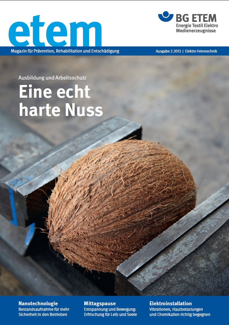 etem Ausgabe 2: Schwerpunkt "Berufsanfänger und Arbeitssicherheit"