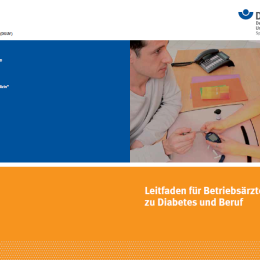 DDG: Leitfaden für Betriebsärzte und Arbeitgeber – Sicher umgehen mit Diabetes im Job