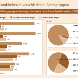 BGW Infografik zu Berufskrankheiten 2012