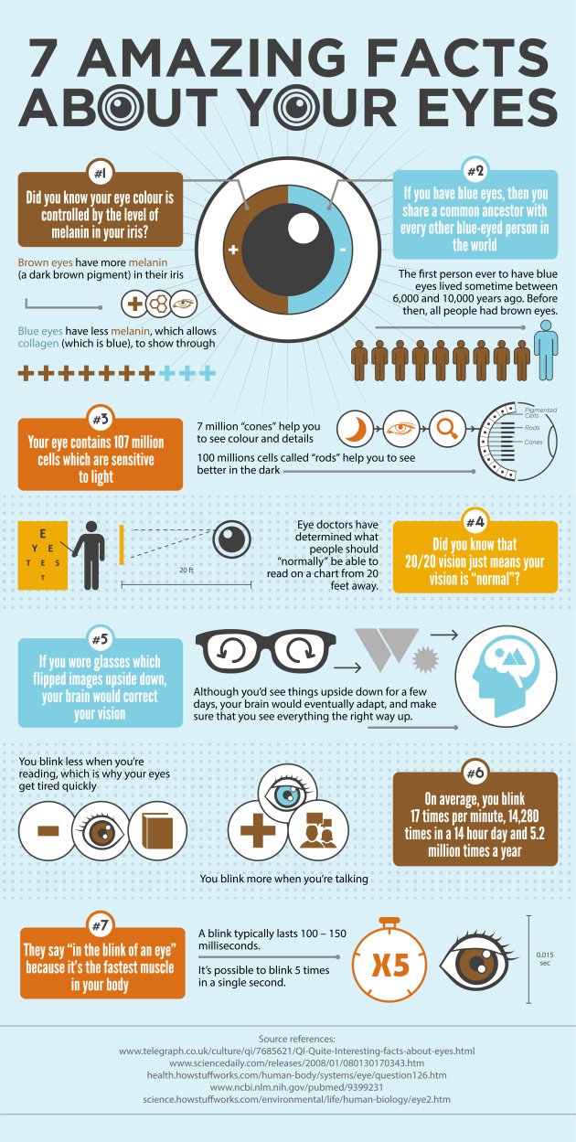 Augen, Infografik, Sehen