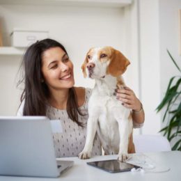 Frau, Hund, Laptop, Stressabbau, gute Laune, effizientes Homeoffice, Laptop, Arbeitsplatzgestaltung, Tipps für gut organisiertes Homeoffice