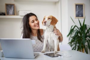 Frau, Hund, Laptop, Stressabbau, gute Laune, effizientes Homeoffice, Laptop, Arbeitsplatzgestaltung, Tipps für gut organisiertes Homeoffice