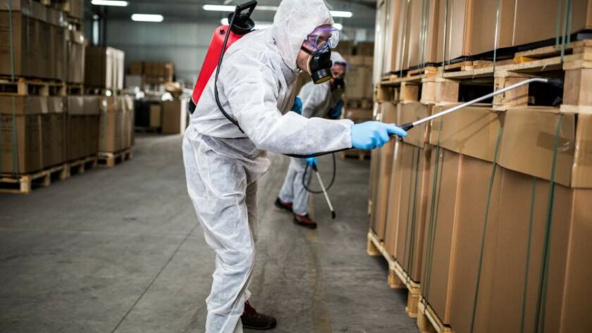 Professionelle Schädlingsbekämpfer:innen in Schutzanzügen im Einsatz in einer Lagerhalle mit Paletten mit Kartions