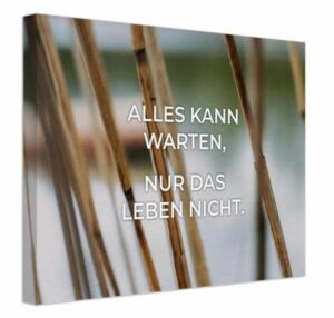 Leinwandbild von Inspiring Art mit Schilf am Wasser: Alles kann warten. Nur das Leben nicht.