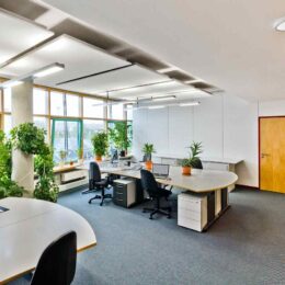 helle büroräume mit pflanzen und ergonomischer einrichtung wirken sich positiv auf die mitarbeitergesundheit aus und bilden daher einen wichtigen Baustein im betrieblichen Gesundheitsmanagement